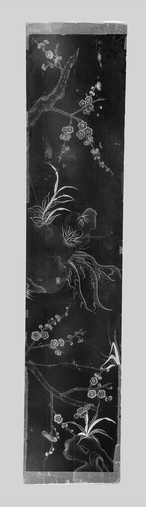 Venaria, Reggia, Panel 6 - infrared IR (950 nm)