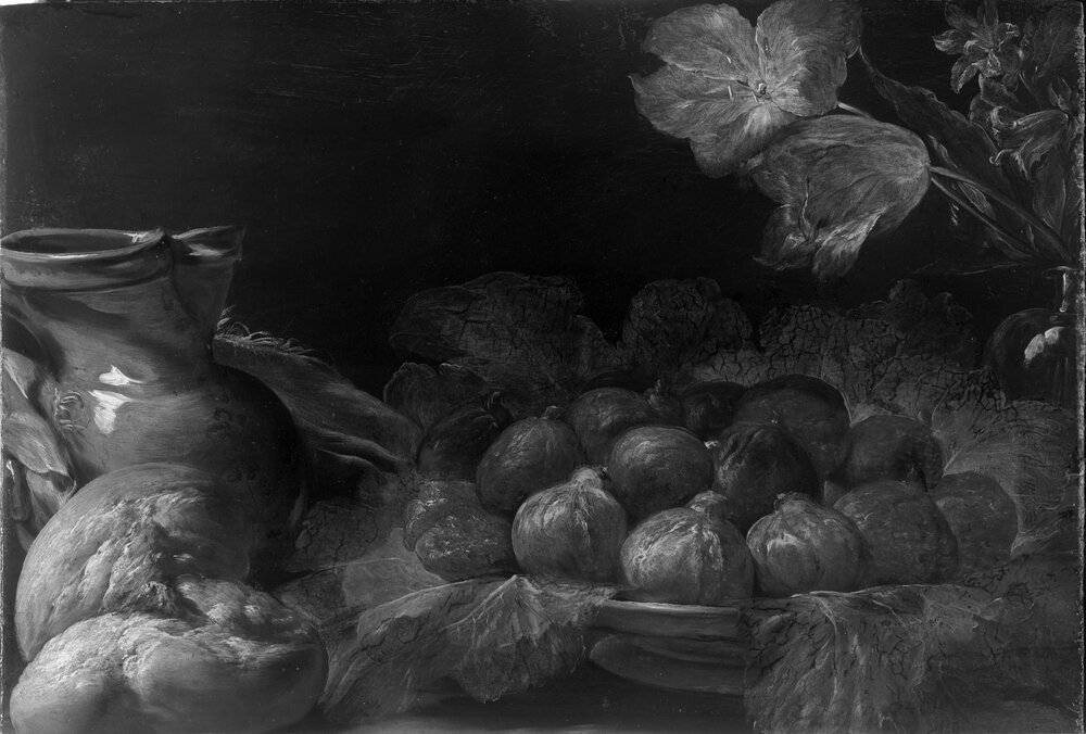 Galleria Sabauda, Still life with figs inv. 673, cat. 285 - infrared analysis
