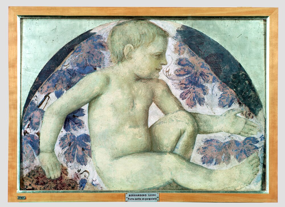 Milano, Pinacoteca di Brera, B. Luini, Putto vendemmiante, inv. 5532 - infrarosso in falso colore (950 nm)