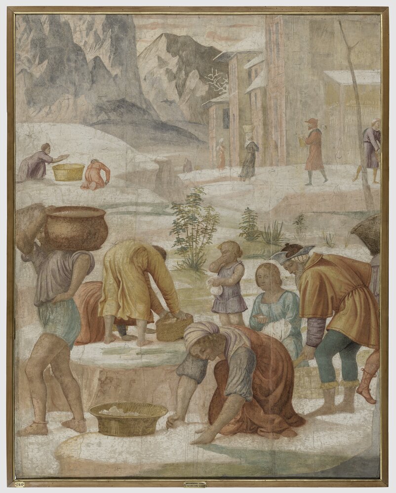 55mc08-DM-2014_Milano, Pinacoteca di Brera, B. Luini, Raccolta della manna, inv. 5526