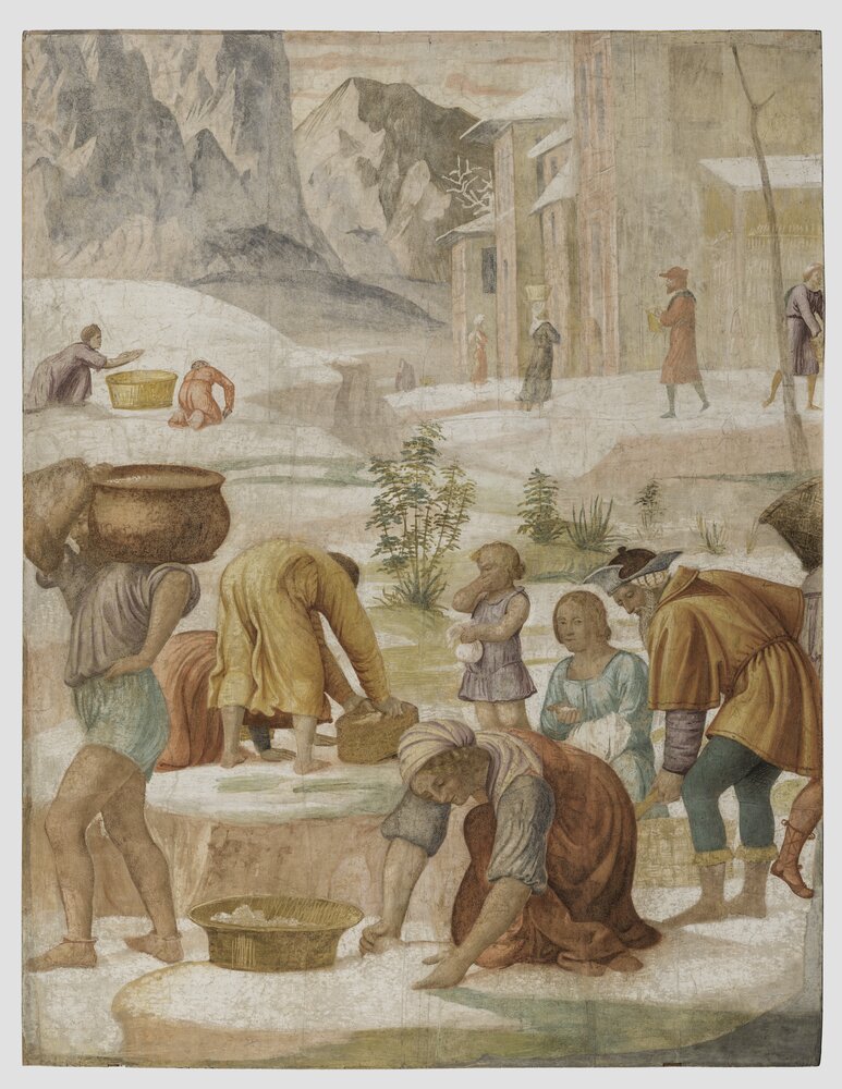 Milano, Pinacoteca di Brera, B. Luini, Raccolta della manna, inv. 5526 - dopo il restauro