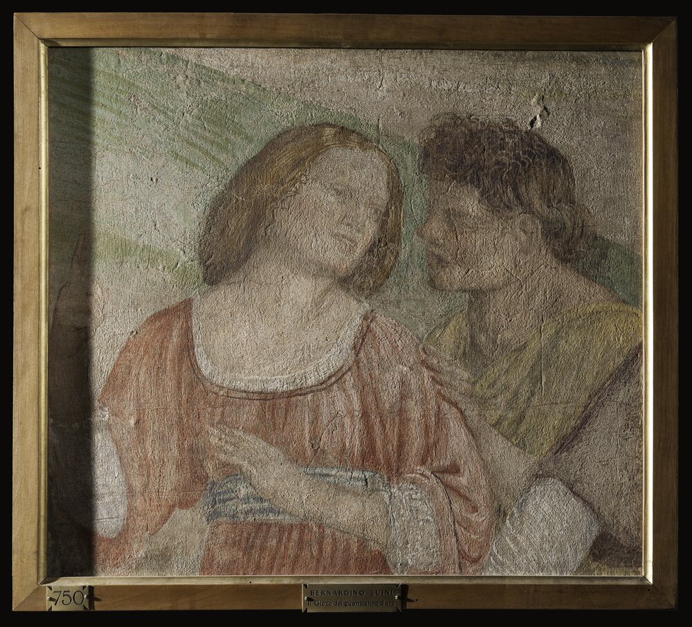 Milano, Pinacoteca di Brera, B. Luini, Coppia di giovani, inv. 5530 - luce radente, prima del restrauro