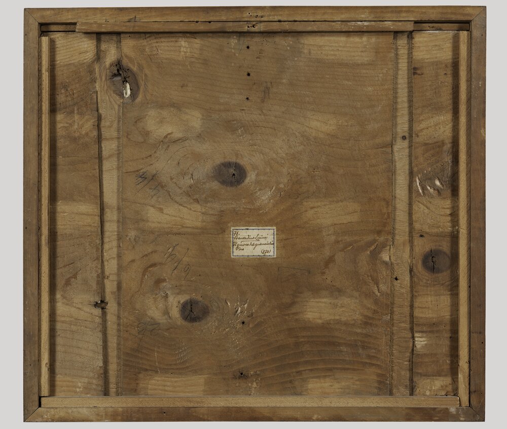 Milano, Pinacoteca di Brera, B. Luini, Coppia di giovani, inv. 5530, verso - prima del restauro