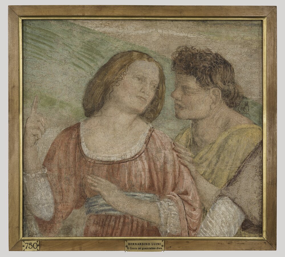 Milano, Pinacoteca di Brera, B. Luini, Coppia di giovani, inv. 5530 - dopo il restauro