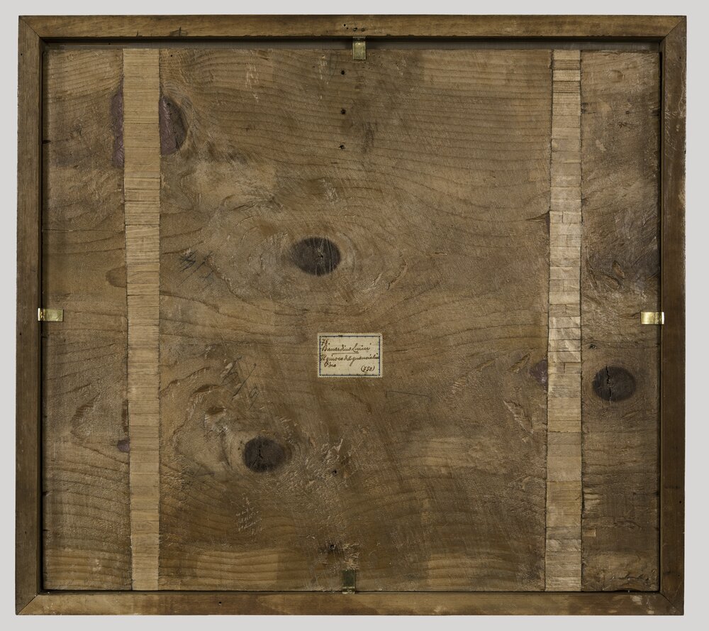 Milano, Pinacoteca di Brera, B. Luini, Coppia di giovani, inv. 5530, verso - dopo il restauro
