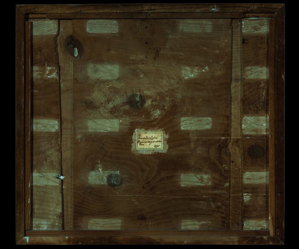 Milano, Pinacoteca di Brera, B. Luini, Coppia di giovani, inv. 5530, verso - analisi UV