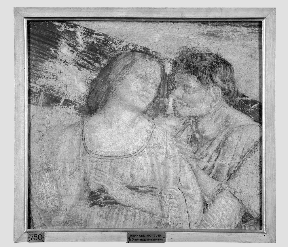 Milano, Pinacoteca di Brera, B. Luini, Coppia di giovani, inv. 5530 - infrarosso IR (950 nm)