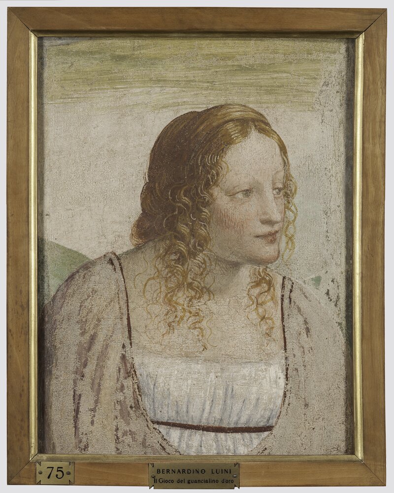 55mc13-DM-2014_Milano, Pinacoteca di Brera, B. Luini, Busto di fanciulla, inv. 17