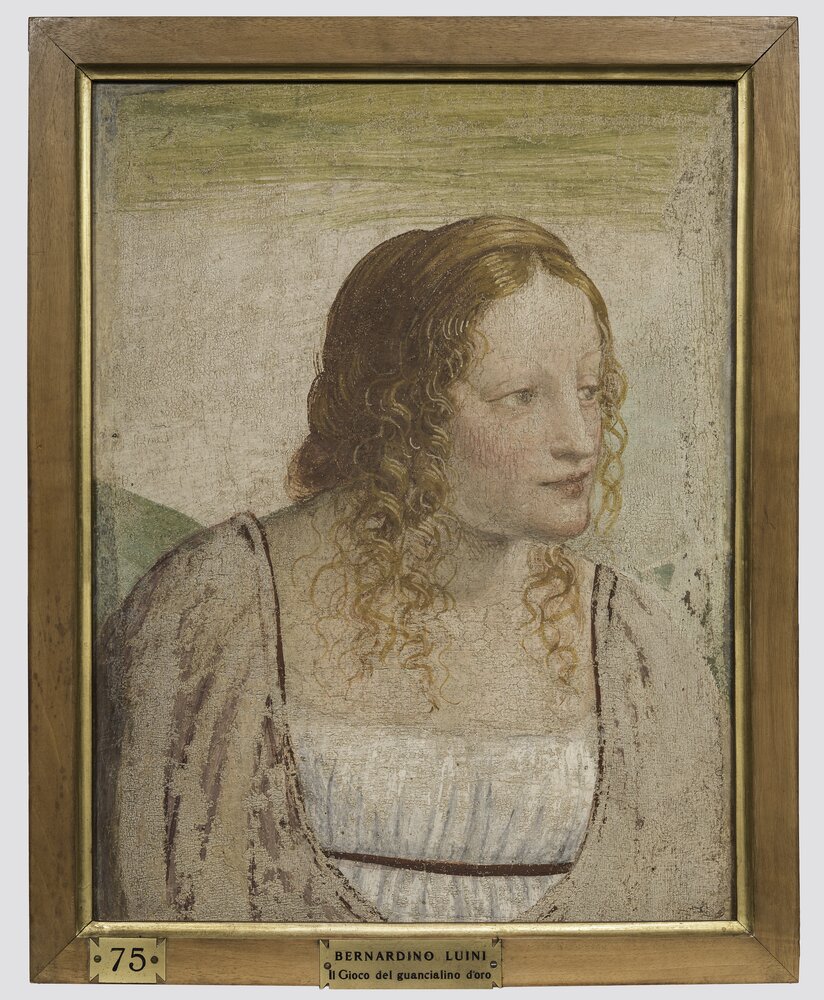 Milano, Pinacoteca di Brera, B. Luini, Busto di fanciulla, inv. 17 - dopo il restauro