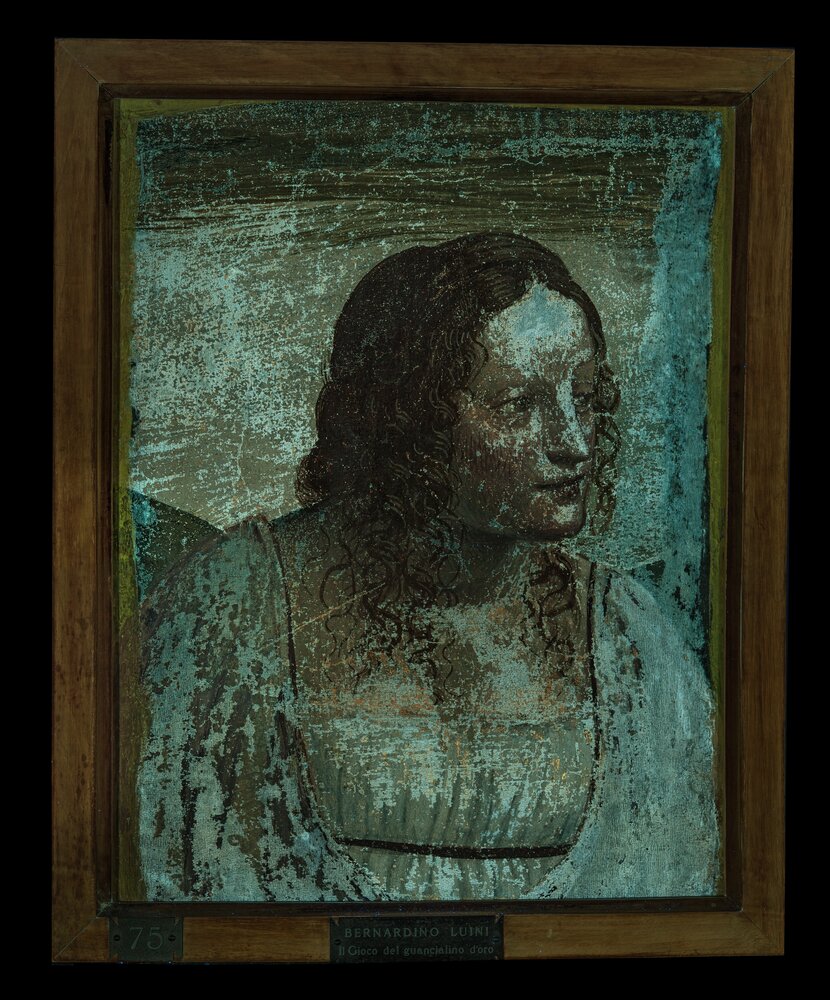 Milano, Pinacoteca di Brera, B. Luini, Busto di fanciulla, inv. 17 - analisi UV