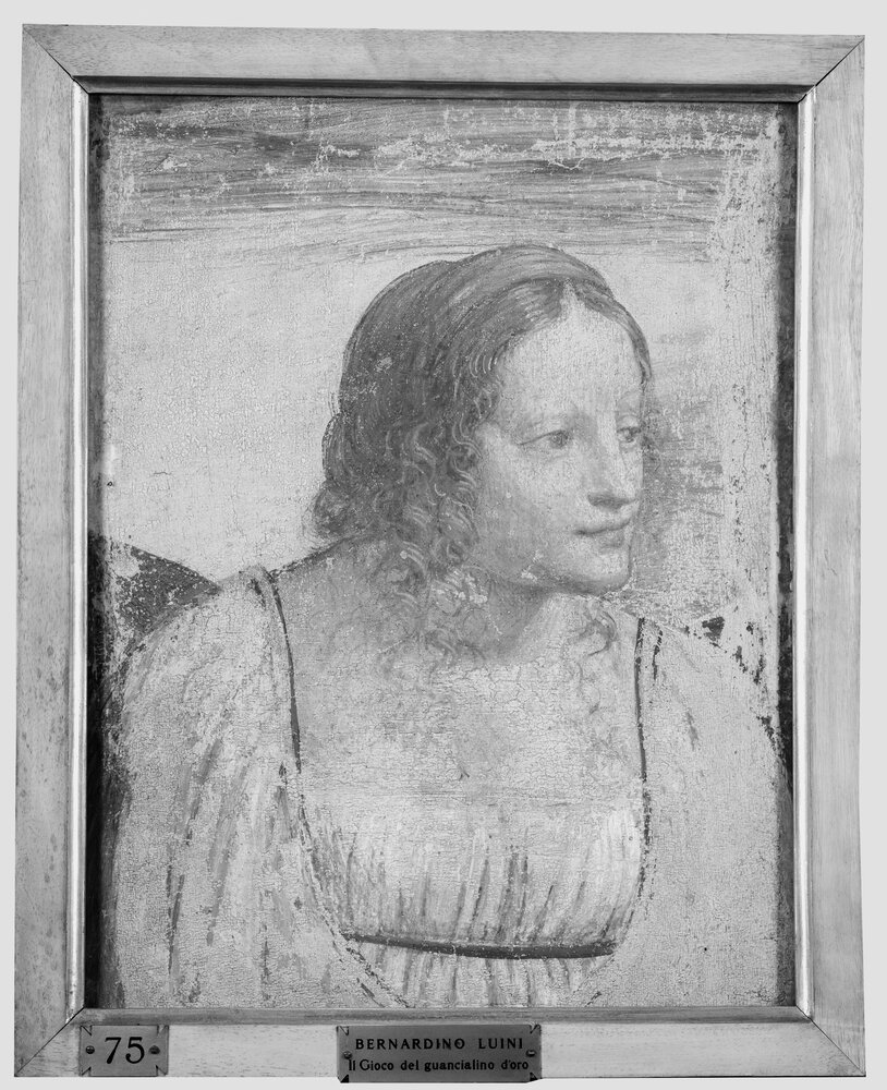 Milano, Pinacoteca di Brera, B. Luini, Busto di fanciulla, inv. 17 - ifrarosso IR (950 nm)