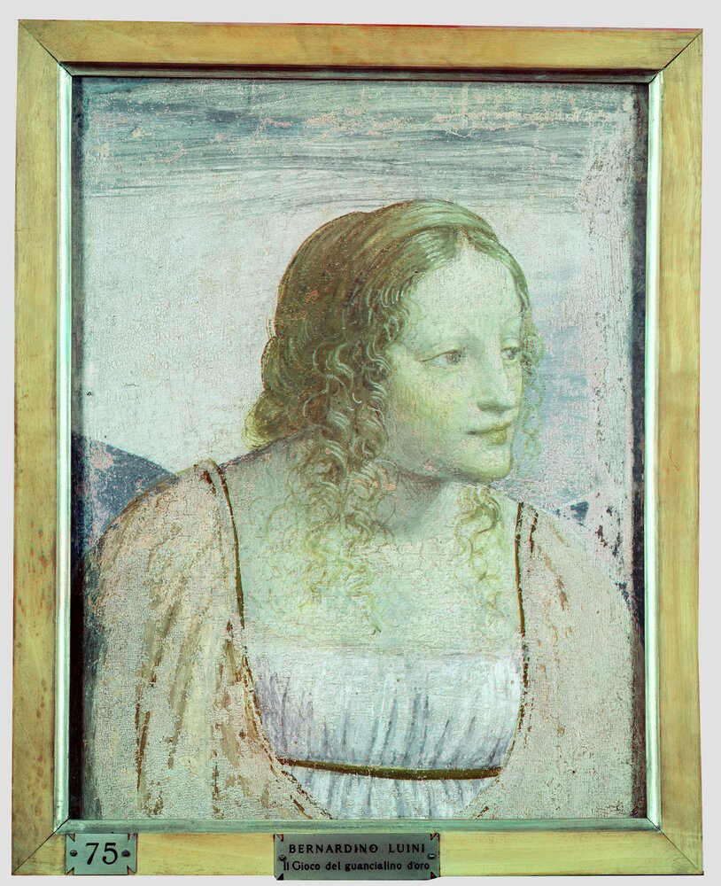 Milano, Pinacoteca di Brera, B. Luini, Busto di fanciulla, inv. 17 - infrarosso in falso colore (950 nm)