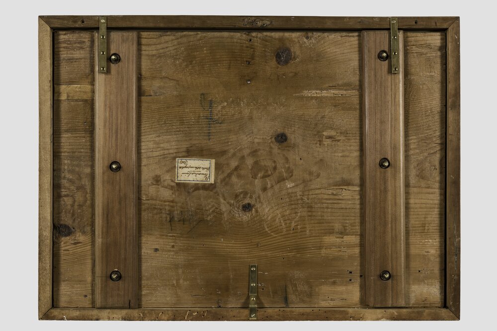 Milano, Pinacoteca di Brera, B. Luini, Putto vendemmiante, inv. 5531, verso - dopo il restauro