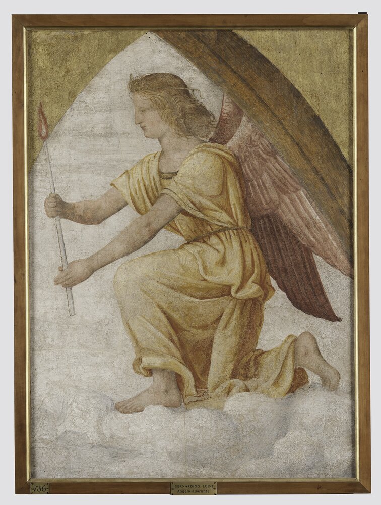 55mc21-DM-2014_Milano, Pinacoteca di Brera, B. Luini, Angelo orante, inv. 5534