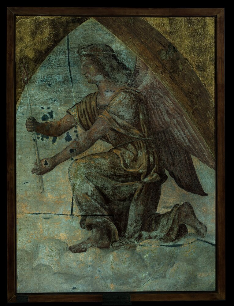 Milano, Pinacoteca di Brera, B. Luini, Angelo orante, inv. 5534 - analisi UV