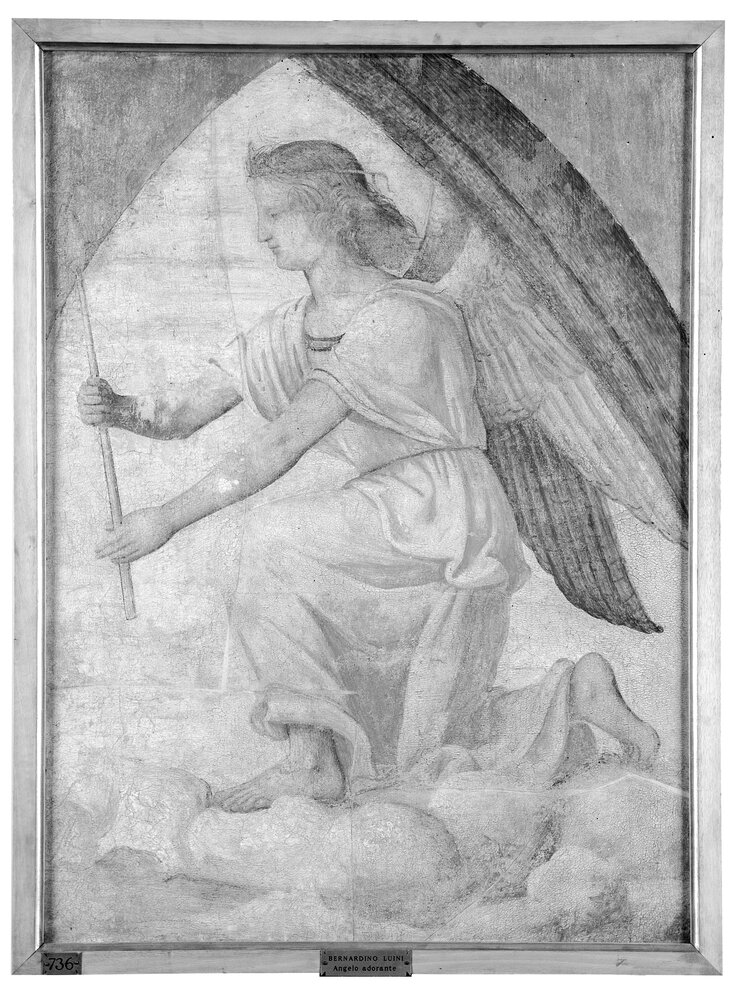 Milano, Pinacoteca di Brera, B. Luini, Angelo orante, inv. 5534 - infrarosso IR (950 nm)