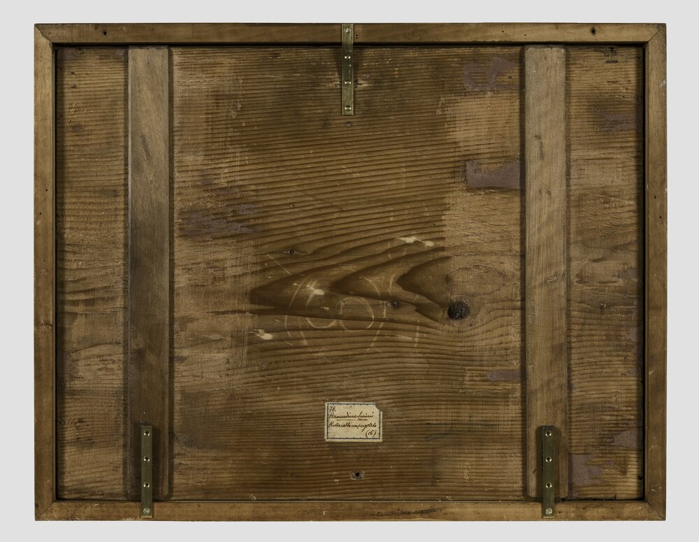 Milano, Pinacoteca di Brera, B. Luini, Putto vendemmiante, inv. 7, verso - dopo il restauro