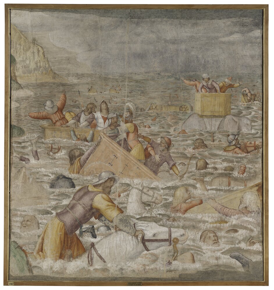 55mc06-DM-2014_Milano, Pinacoteca di Brera, B. Luini, L'esercito egiziano sommerso dal mar Rosso, inv. 5524