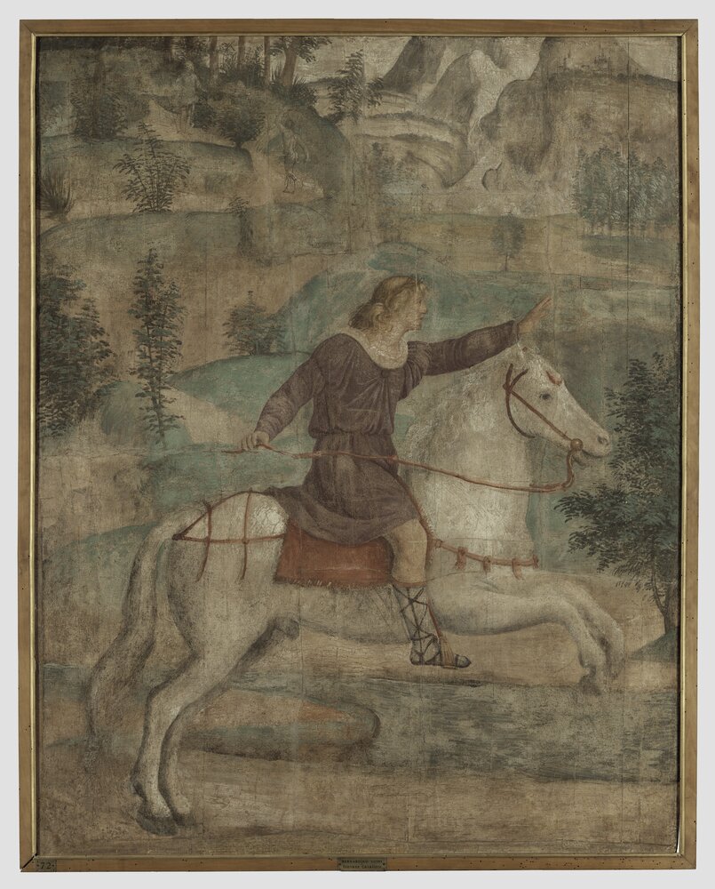 55mc11-DM-2014_Milano, Pinacoteca di Brera, B. Luini, Severe fugge dalle ninfe salvato da Mercurio trasformato in cavallo, inv. 9