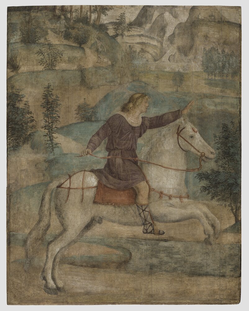 Milano, Pinacoteca di Brera, B. Luini, Severe fugge dalle ninfe salvato da Mercurio trasformato in cavallo, inv. 9 - dopo il restauro