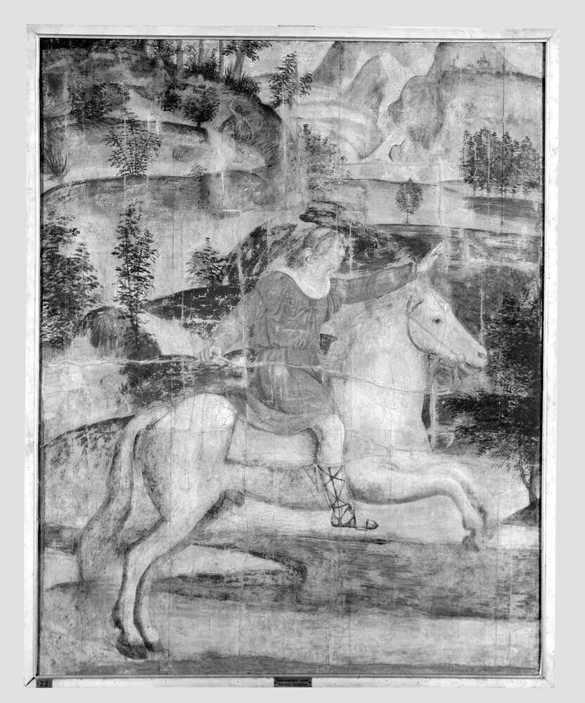 Milano, Pinacoteca di Brera, B. Luini, Severe fugge dalle ninfe salvato da Mercurio trasformato in cavallo, inv. 9 - infrarosso IR (950 nm)