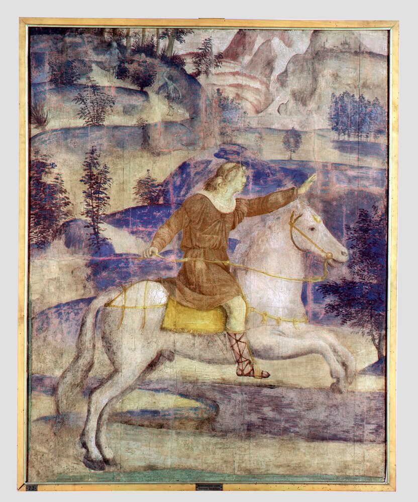 Milano, Pinacoteca di Brera, B. Luini, Severe fugge dalle ninfe salvato da Mercurio trasformato in cavallo, inv. 9 - infrarosso falso colore (950 nm)