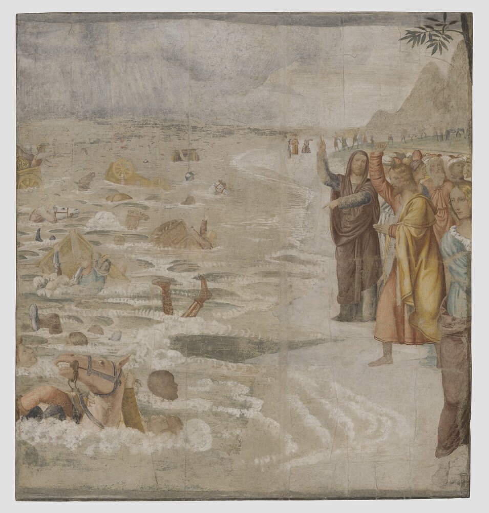 Milano, Pinacoteca di Brera, B. Luini, L'esercito egiziano sommerso dal mar Rosso, inv. 5525 - dopo il restauro
