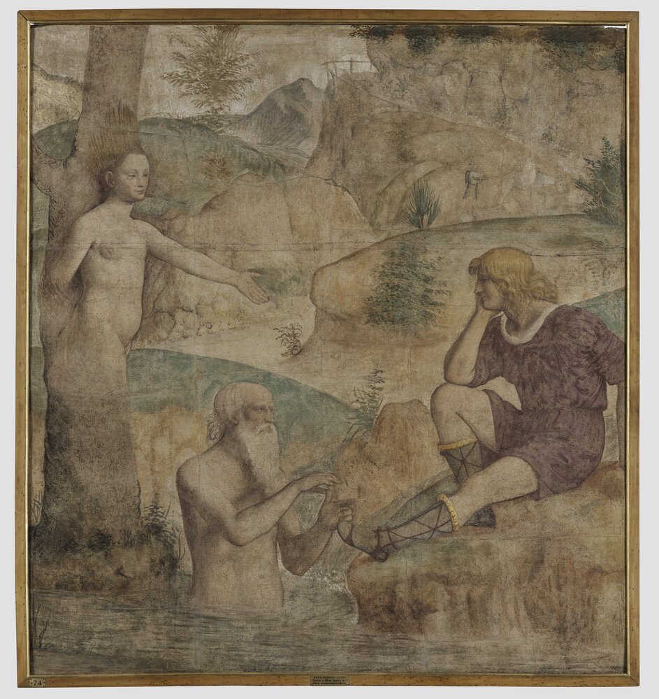 55mc12-DM-2014_Milano, Pinacoteca di Brera, B. Luini, Severe consolato da Driope e Tavaiano, inv. 38