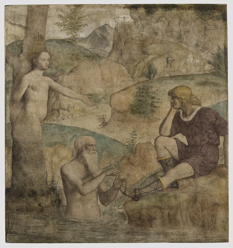 Milano, Pinacoteca di Brera, B. Luini, Severe consolato da Driope e Tavaiano, inv. 38 - dopo il restauro