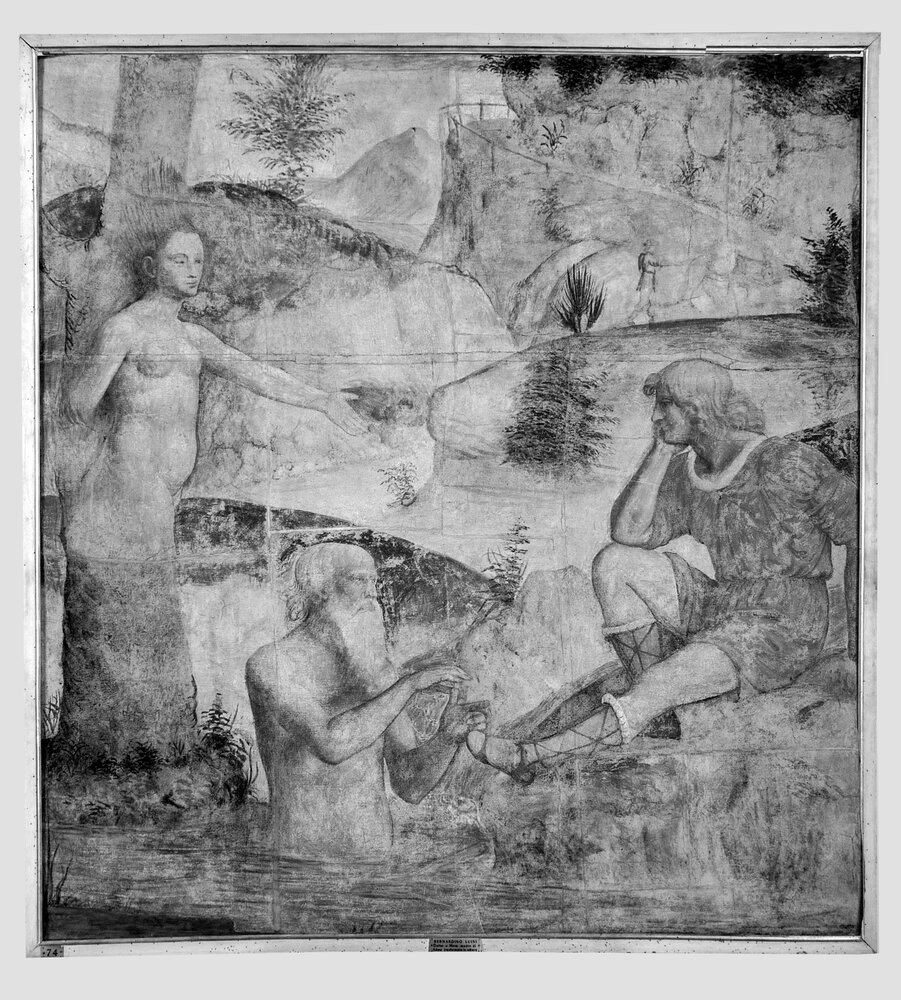 Milano, Pinacoteca di Brera, B. Luini, Severe consolato da Driope e Tavaiano, inv. 38 - infrarosso IR (950 nm)