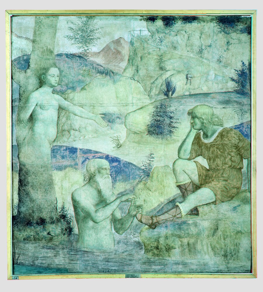 Milano, Pinacoteca di Brera, B. Luini, Severe consolato da Driope e Tavaiano, inv. 38 - infrarosso in falso colore (950 nm)