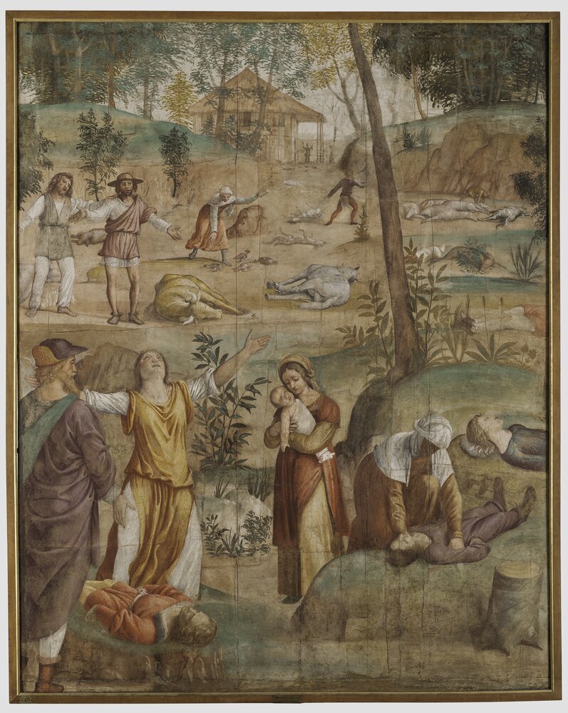 55mc03-DM-2014_Milano, Pinacoteca di Brera, B. Luini, Morte dei primogeniti, inv. 5522