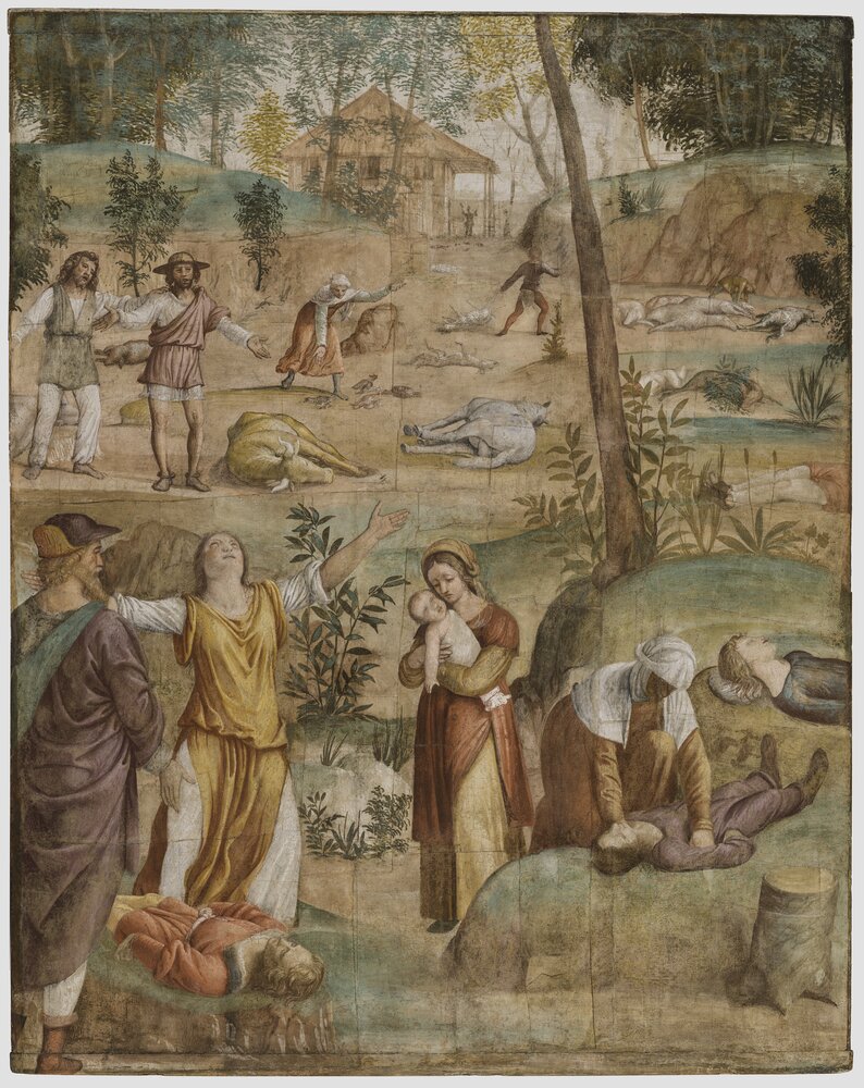 Milano, Pinacoteca di Brera, B. Luini, Morte dei primogeniti, inv. 5522 - dopo il restauro