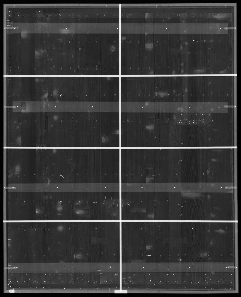 Milano, Pinacoteca di Brera, B. Luini, Morte dei primogeniti, inv. 5522 - radiografia digitale