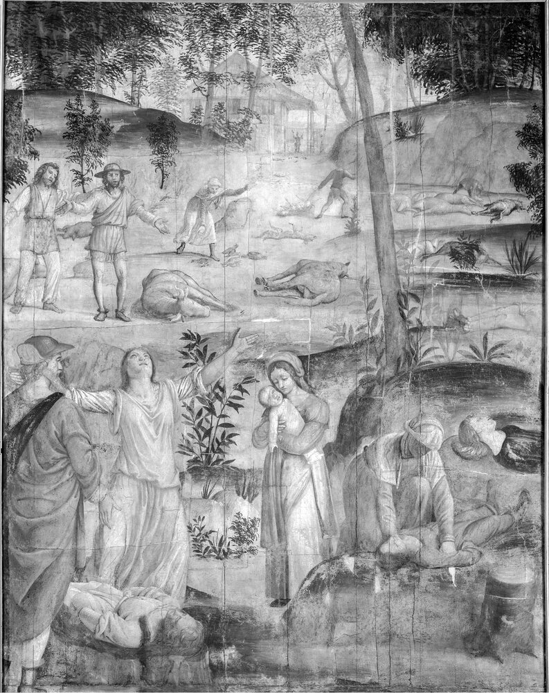 Milano, Pinacoteca di Brera, B. Luini, Morte dei primogeniti, inv. 5522 - infrarosso IR (950 nm)
