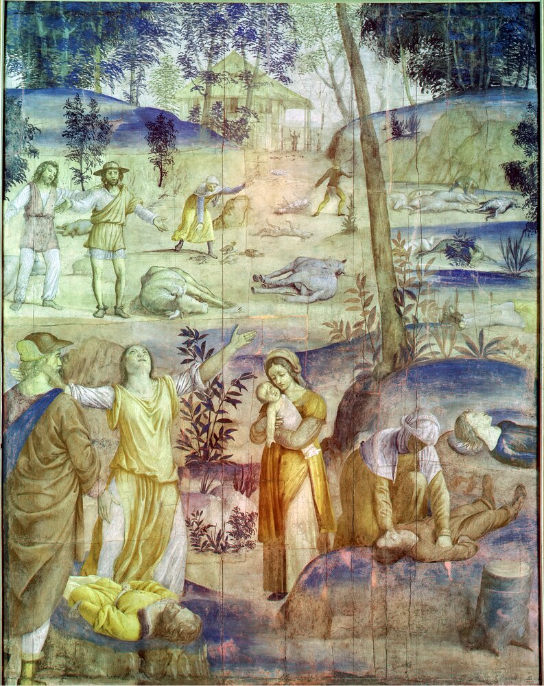 Milano, Pinacoteca di Brera, B. Luini, Morte dei primogeniti, inv. 5522 - infrarosso in falso colore (950 nm)