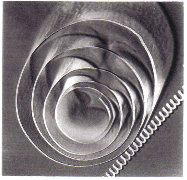 2002, 14 May – 14 JulyLUIGI VERONESI E LA FOTOGRAFIA / Space and structure for an imageImage taken from the private archive of Liliana Dematteis.