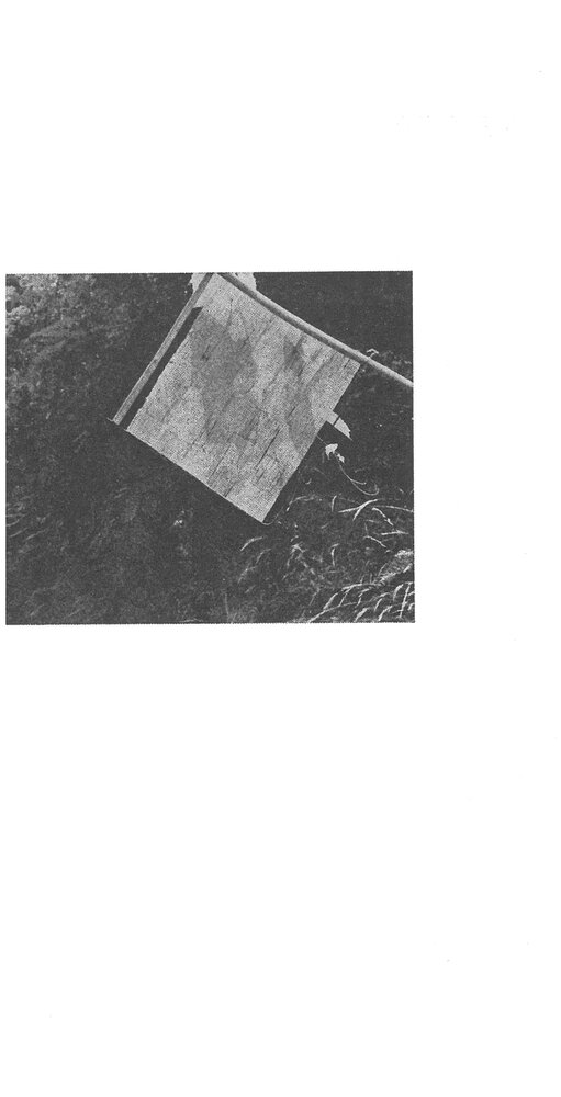 Eddy Allen - Roberto Rizzoli. Giugno 1979