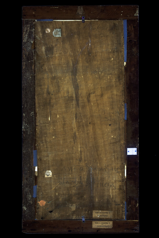 Milano, Pinacoteca di Brera, Sant’Antonio da Padova e Giulia Trivulzio (o Lucia Bevilacqua) - analisi UV