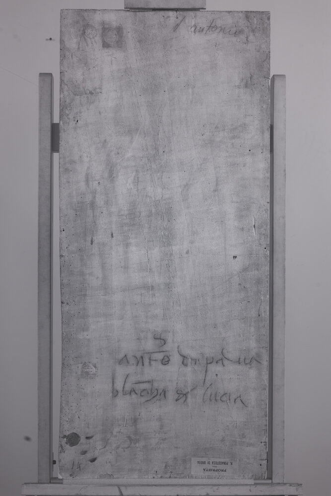 Milano, Pinacoteca di Brera, Sant’Antonio da Padova e Giulia Trivulzio (o Lucia Bevilacqua) - analisi IR (950nm)