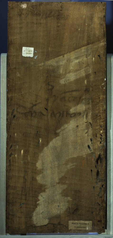 Milano, Pinacoteca di Brera, M. d'Oggiono, San Francesco e Bona Bevilacqua Trivulzio (o Antonia Pallavicini), verso - analisi UV