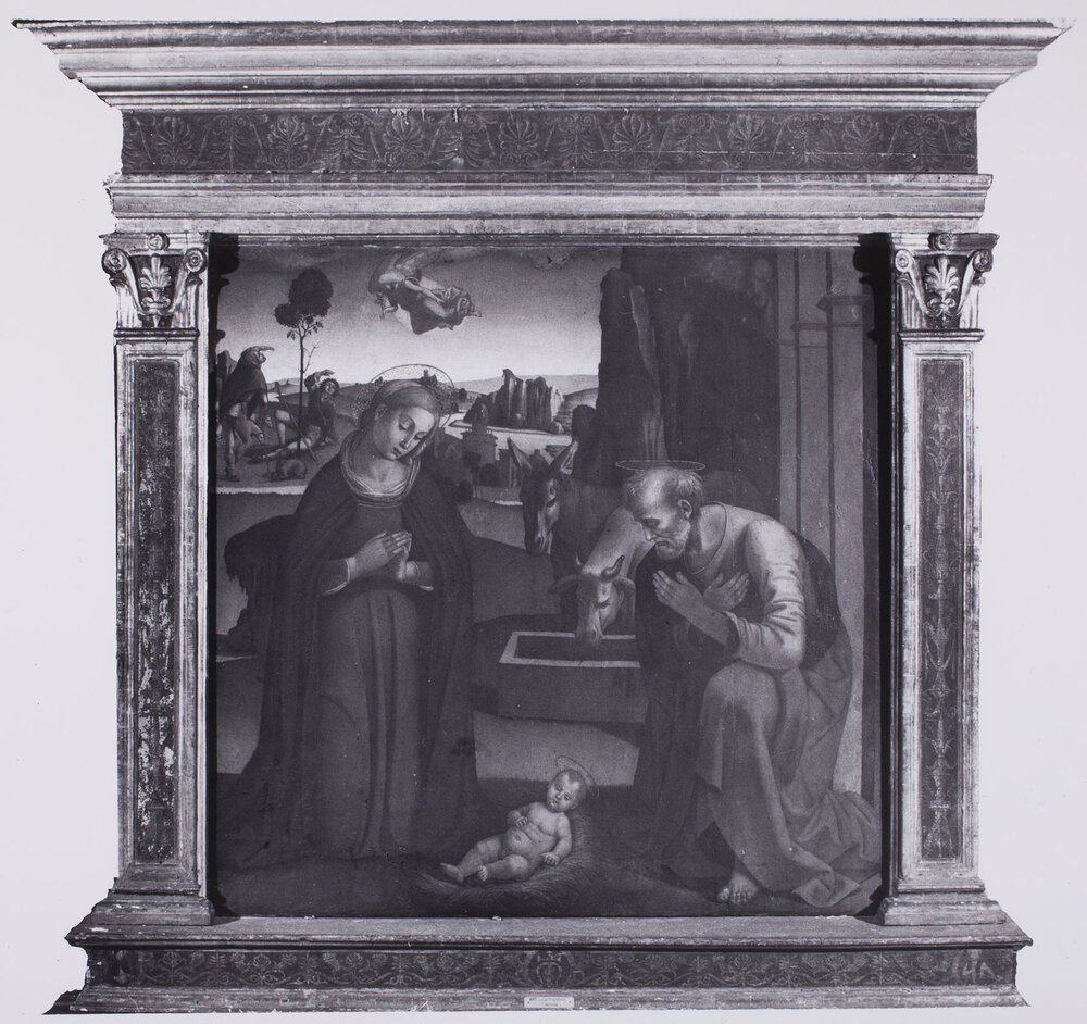 Torino, Galleria Sabauda, Luca Signorelli, Natività, Dipinto su tela