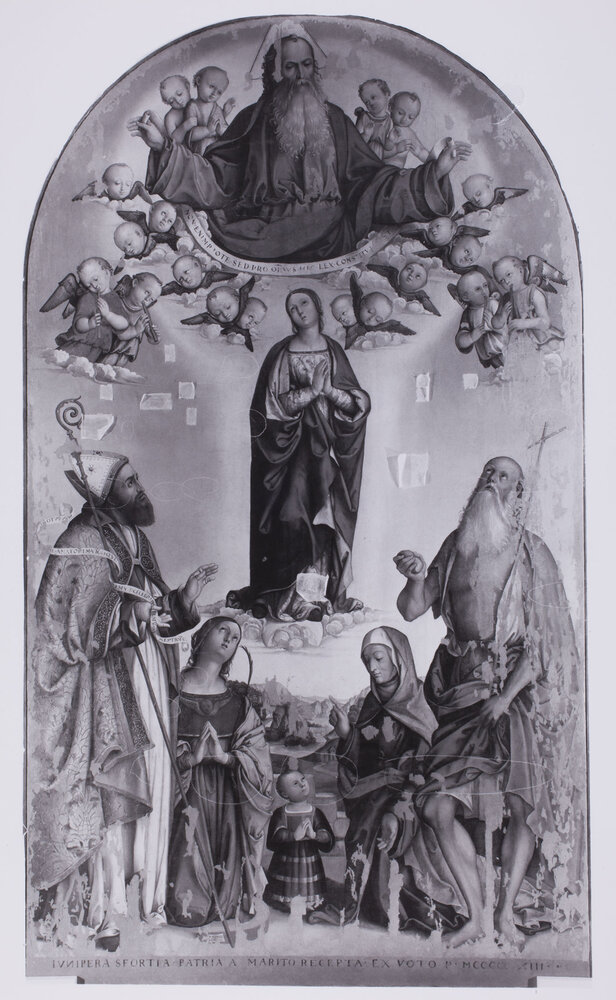 Milano, Pinacoteca di Brera, Girolamo da Cotignola, Vergine Concetta tra santi, Dipinto su tavola