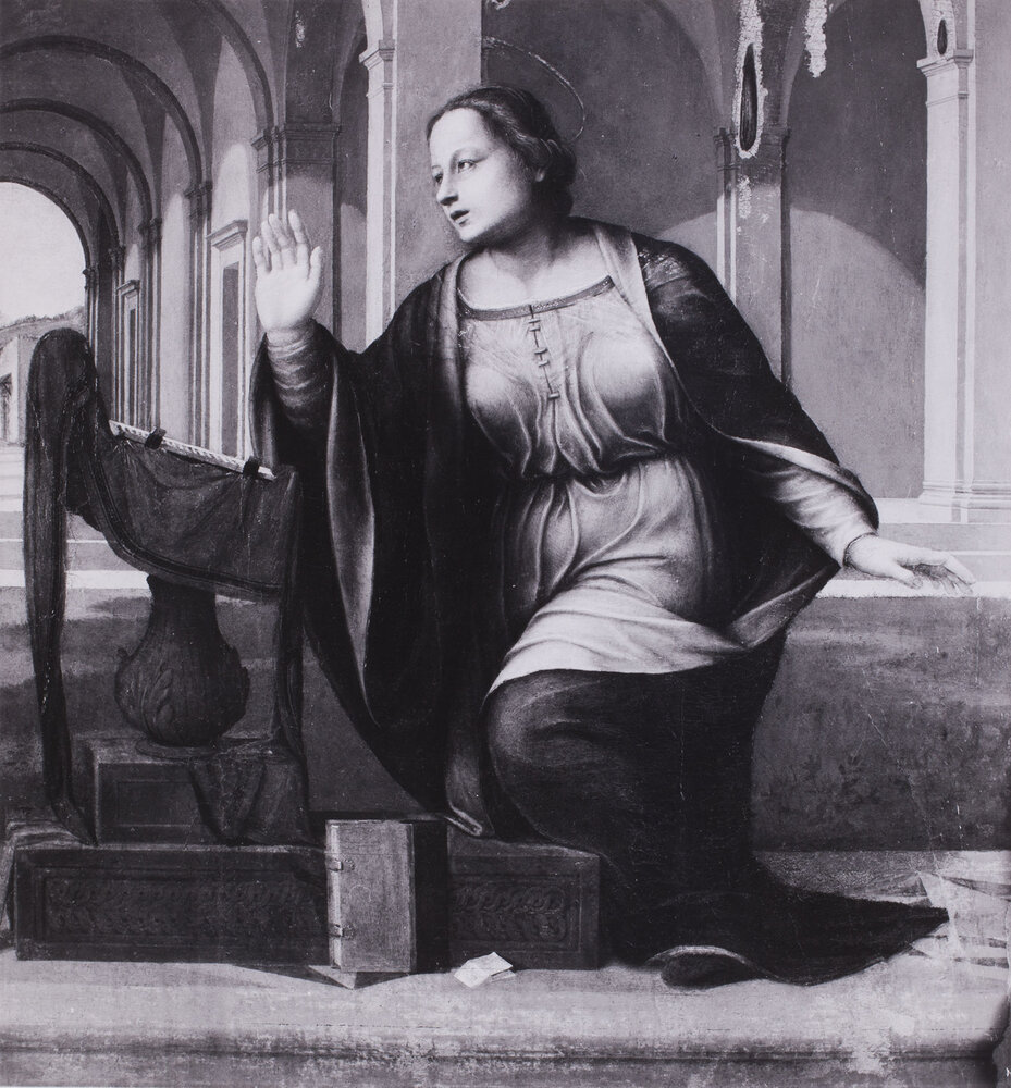 Torino, Galleria Sabauda, Francesco Di Cristofano (Franciabigio), Dipinto su tavola