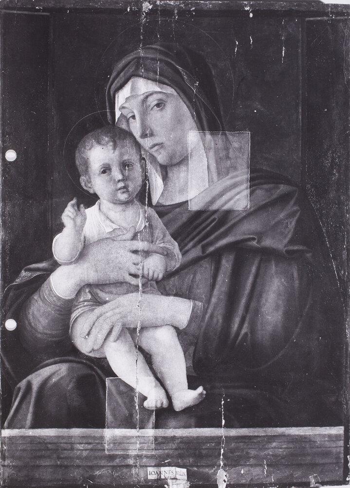 Torino, Galleria Sabauda, Giovanni Bellini, Madonna con Bambino, Dipinto su tavola