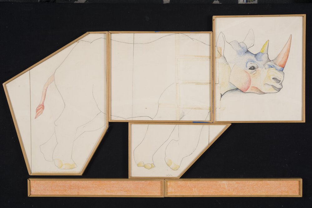 34mc34-CF-2017_Milano, Gallerie d'Italia, A. Spoldi, Il rinoceronte, inv.  A.D.-05930A-L/IS