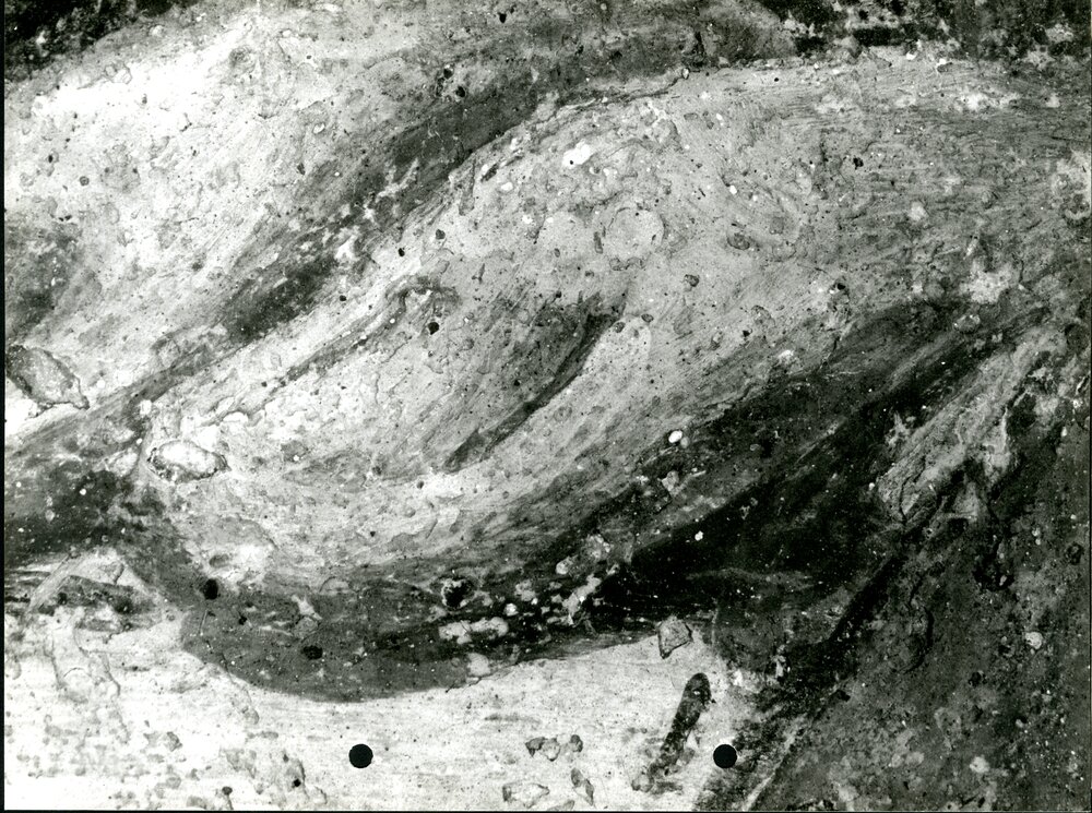 Eraclito e Democrito, particolare macro dito indice fig. a destra - (Eraclito e Democrito, part. dito indice fig. a destra, restauro ultimato) - APBB_CTRS_83_2_P_070.tif