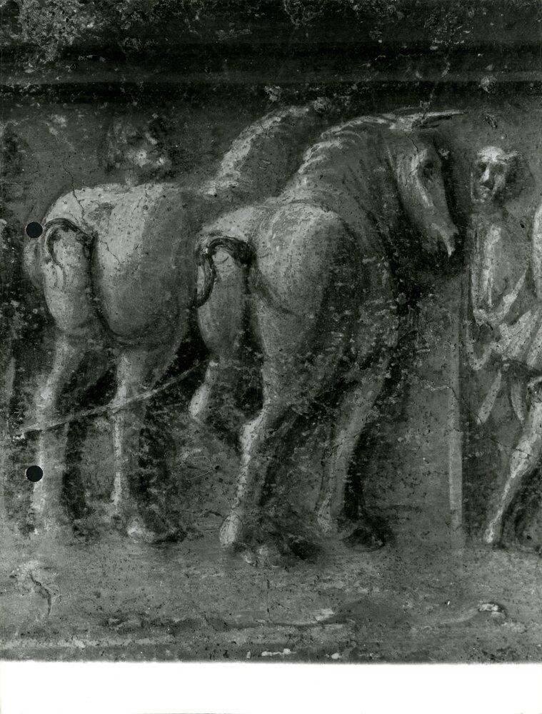 Eraclito e Democrito, part. macro dei cavalli nella decorazione - (Eraclito e Democrito, part. restauro ultimato) - APBB_CTRS_83_2_P_074.tif