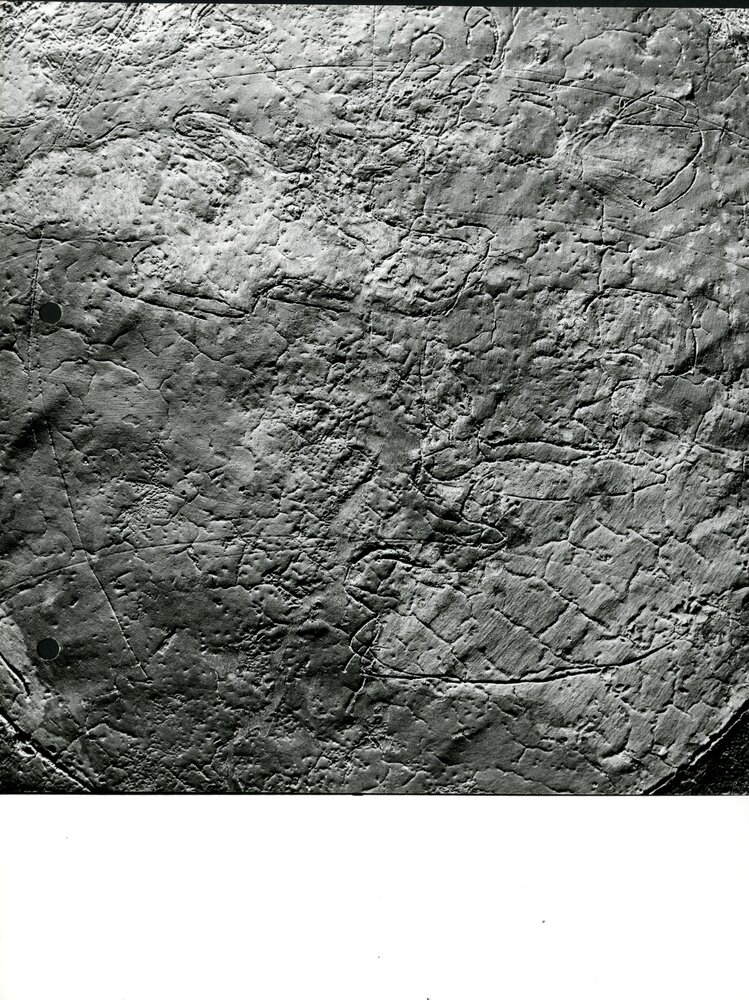 Eraclito e Democrito, part. macro, luce radente - (Eraclito e Democrito, part. restauro ultimato) - APBB_CTRS_83_2_P_080.tif