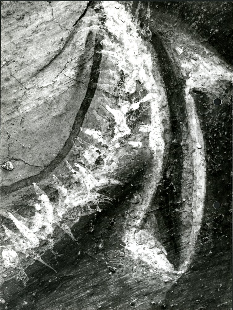 Eraclito e Democrito, part. polso figura a sinistra, restauro ultimato  - APBB_CTRS_83_2_P_068.tif